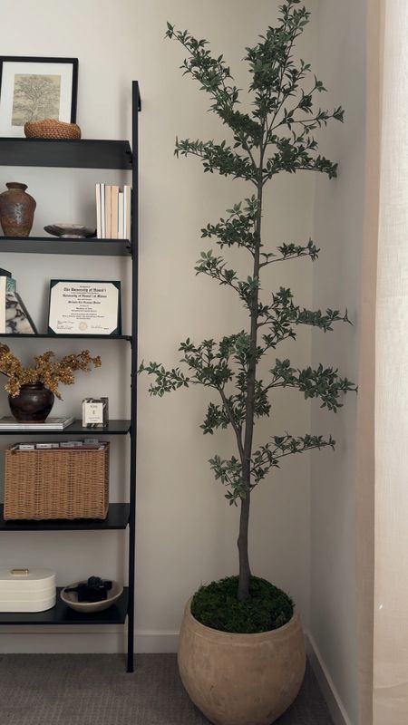 New black olive tree from Pottery Barn 🤍 

home decor, office decor

#LTKhome