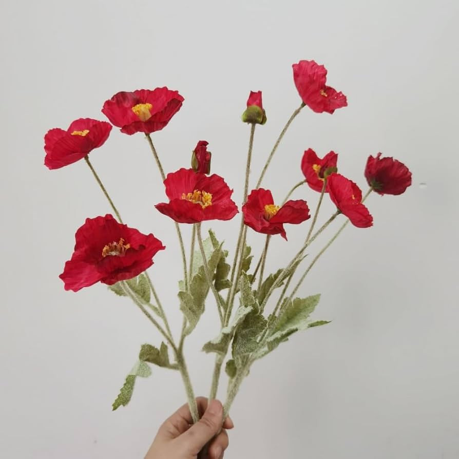 3 Bundles of 22 inches Tall Red Poppy Flowers Artificial,Ranunculus Artificial Flowers,Faux Flowe... | Amazon (US)