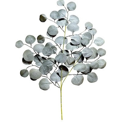Home Collection Frosted Green Silk Eucalyptus Leaves – 4 Stems | Target