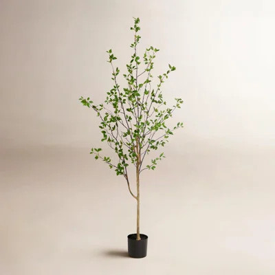 5Ft. Minimalist Citrus Artificial Tree | Wayfair North America