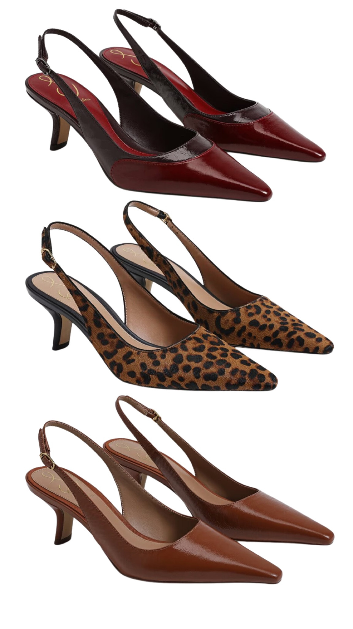 I LOVE a sling back. Timeless silhouette, timeless colors. Yes, even leopard 🙃🐆

Sam Edelman members get $30 off any $130+ purchases with code FALLFUN 🍂

#leopard #leopardprint #burgundy #kittenheel #slingback #workshoes

#LTKWorkwear #LTKShoeCrush #LTKSeasonal