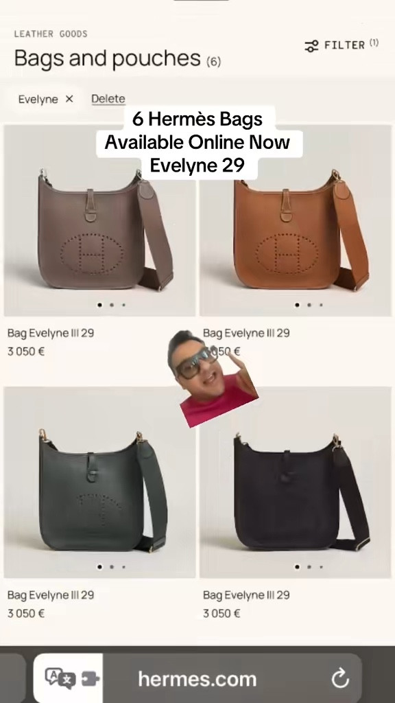 6 Hermès Evelyne Bags Available Online Now  #hermes #hermesbag #hermesevelyne #evelyne #hermesonline 