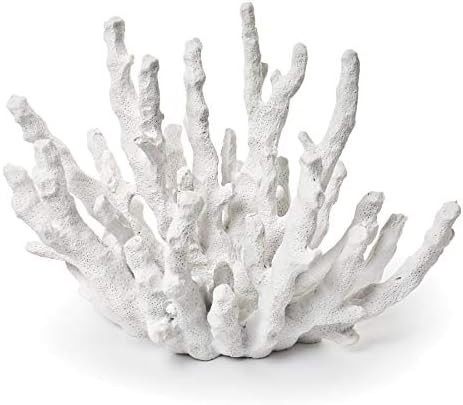 Abbott Collection Finger Coral, White (Small) | Amazon (US)