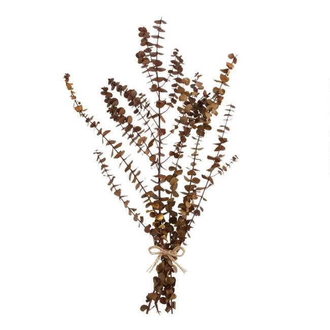 Dried Baby Eucalyptus Bunch | World Market