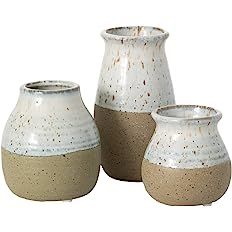 Sullivans Ceramic Vase Set- 3 Petite Vases, Rustic Home Décor, Modern Farmhouses; Ideal Shelf D... | Amazon (US)