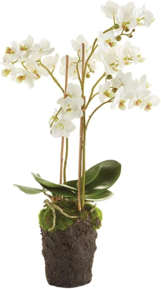 MY SWANKY HOME Luxe 20 in Tiny White Phalaenopsis Orchid Faux Flower Artificial Plant Drop in | Amazon (US)