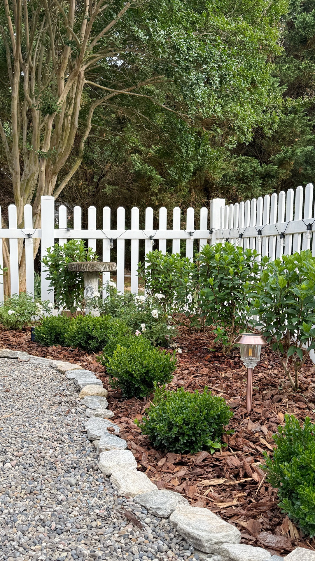 I created a cozy outdoor space with all of these items from Amazon.  I added several types of solar lights, to lighten up all of the spaces. I’m also able to water all of my plants with ease with the lightweight retractable hose.  AND I can keep everything need and tidy with the hand held leaf blower.

#LTKSeasonal #LTKHome #LTKSaleAlert