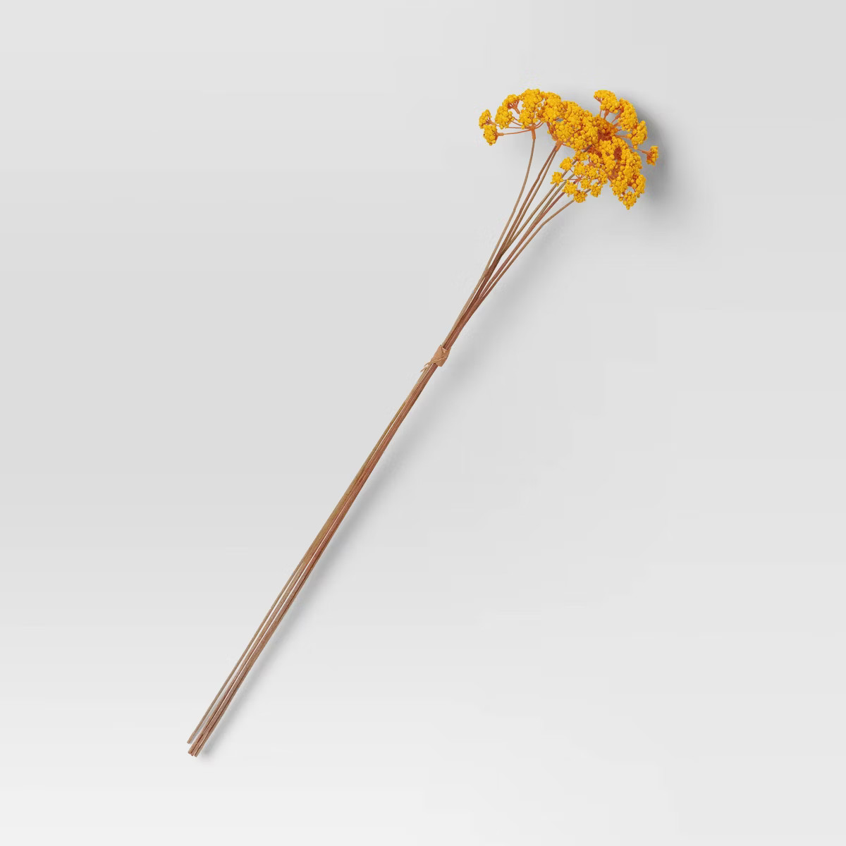 Sedum Stem Gold - Threshold™ | Target