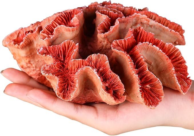 Orange Coral Reef Decor Sculpture, Faux Coral Coastal Theme Home Decor, Bathroom, Living Room, Of... | Amazon (US)