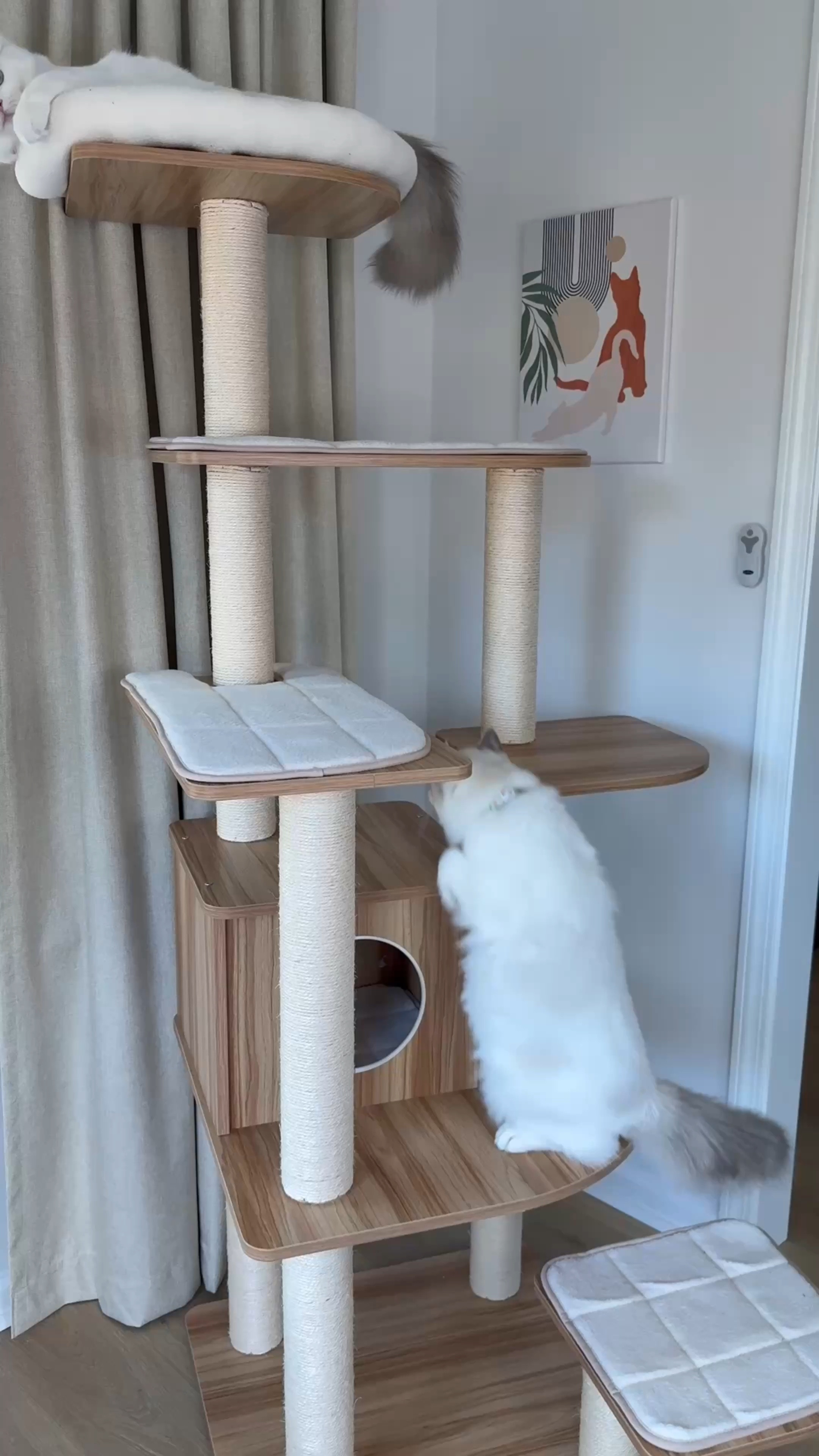 Elevate your feline’s playtime with this modern cat tree. Its multi-level design is perfect for climbing, lounging, and adding style to your space.
#CatTree #CatFurniture #FelineFun #ModernDesign #CatLovers

#LTKMostLoved #LTKPets #LTKHome