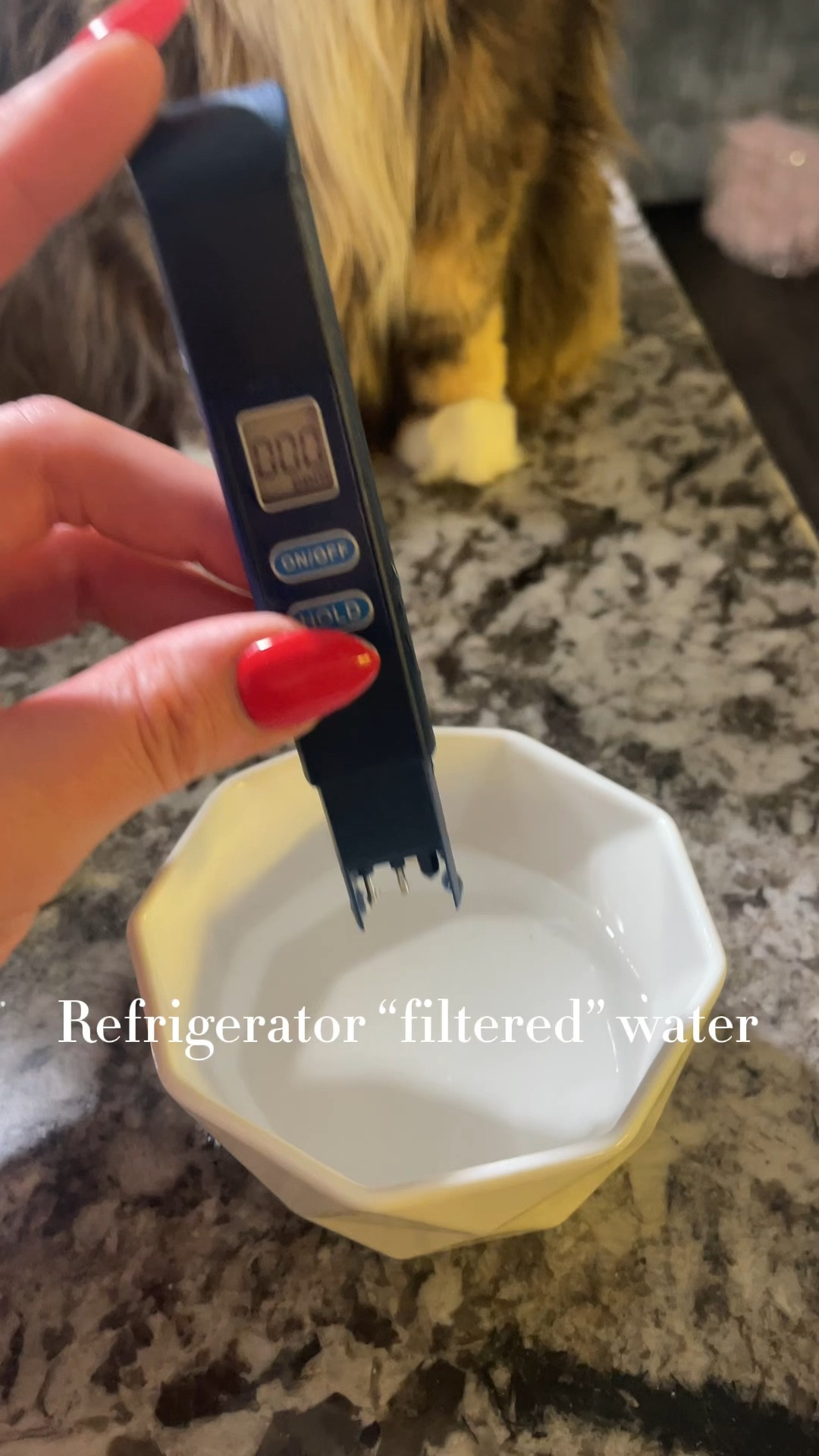 This water filter is a game changer and it was less than $40! 

The TDS meter measures the amount of organic and non organic material in water. Although there are ranges for what is deemed healthy. We still do NOT need large amounts of minerals in our water. The majority of these minerals are way above what is needed for our systems and filled with harmful amounts of chlorine and fluoride that our bodies have a hard time processing and that clog important receptors needed for healthy hormones. 

Taking all minerals out with this filter will also remove harmful bacteria, viruses, and hormones that can pass through normal tap water and filters! 

Several sizes to choose from, I got the 32 cup filter. You can also purchase more filters and the life of the filter depends on how bad your water is. My water is way above what is deemed safe! 

#LTKfindsunder50 #LTKhome #LTKVideo