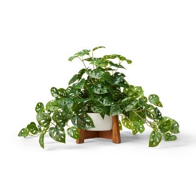 23" x 24" Faux Monstera Adansonii Plant in Pot with Wood Stand White - Hilton Carter for Target | Target