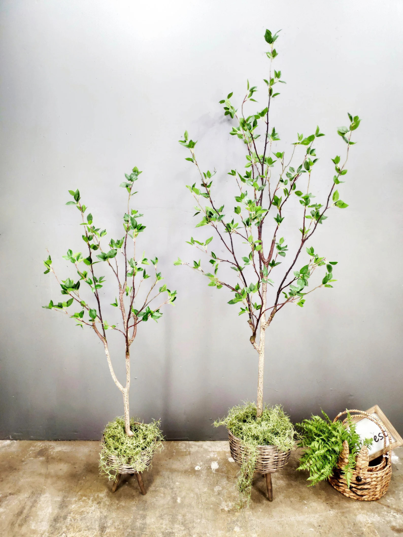 4 foot,6 foot Artificial Tree,spring tree,Green leaf tree,silk tree,Silk Plant,artificial tree Gr... | Etsy (US)