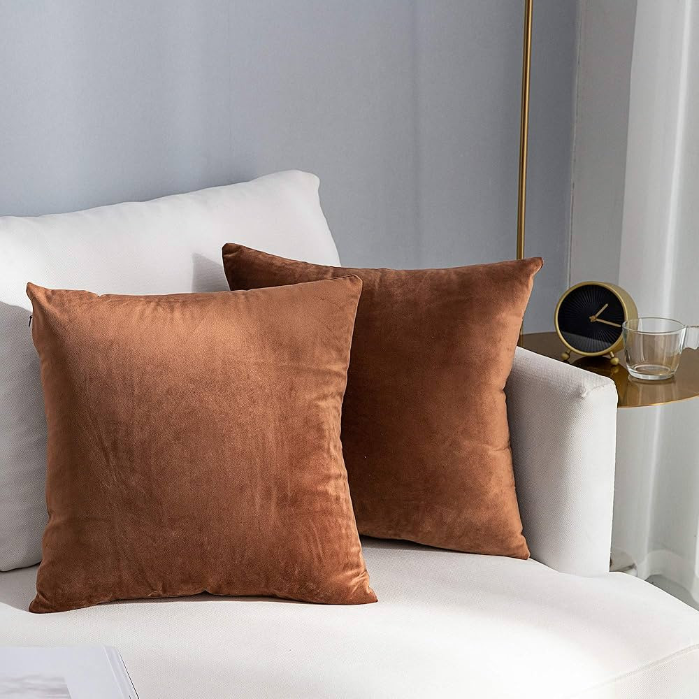 Stellhome Pack of 2 Velvet Pillow Covers Square Decorative Cushion Covers for Bed Couch Sofa Benc... | Amazon (US)