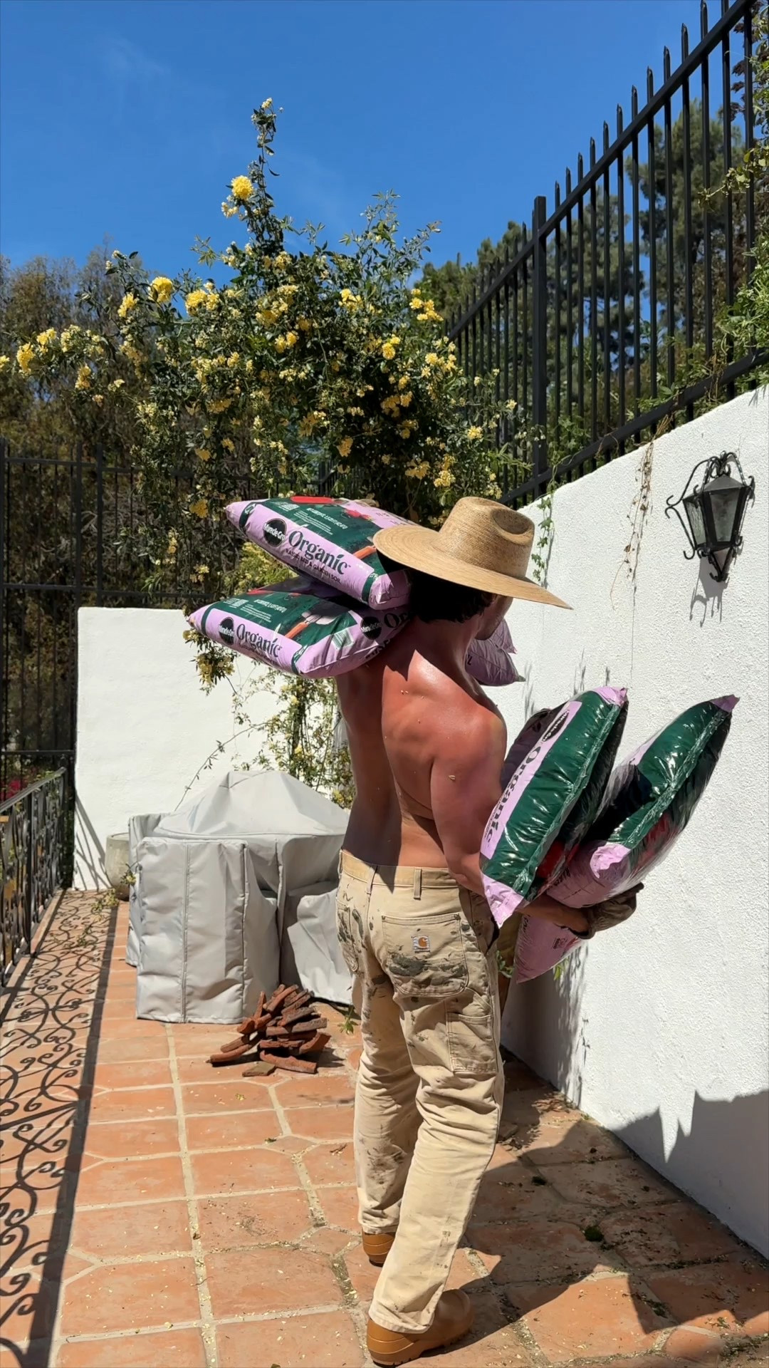 We’re getting the backyard ready to host our first Spring garden party!

The upper terrace on our property gets slammed with a ton of sunlight. And because of that, we’ve always known we wanted to find a plant that could handle the heat (and also vine along the stucco walls). Enter: the Lady Banks rose.

To keep with the “villa”-feel of our property, we planted Lady Banks roses in 3 large antique clay terracotta pots (we sourced the roses locally from a nursery but linked to the exact same plant from Home Depot). 

#LTKHome