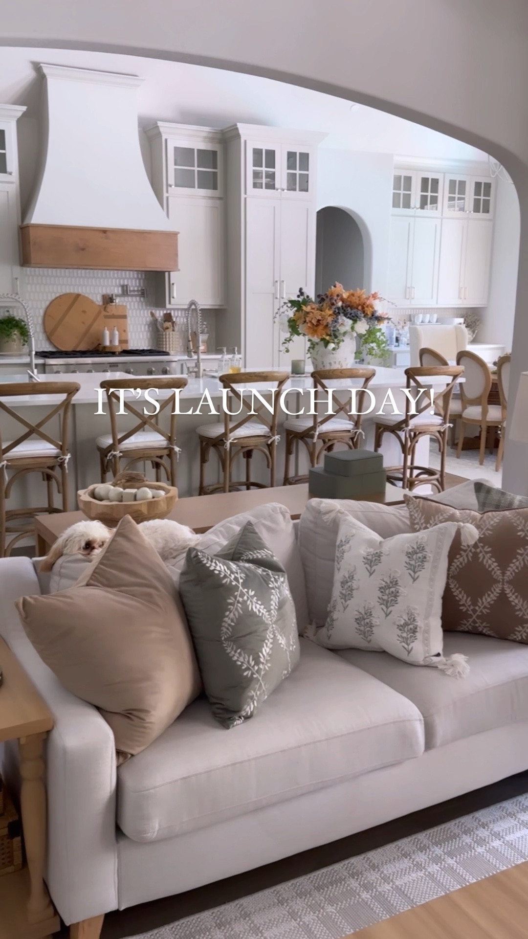 If you missed it, our big fall launch was Thursday! New pillow covers and curtains are now live! 

#LTKSeasonal #LTKHalloween #LTKhome