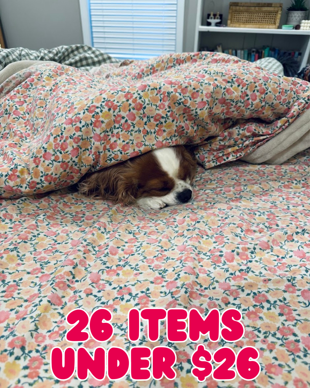 The kind of prices that make you do a double take 🤍 26 items under $26! 

 