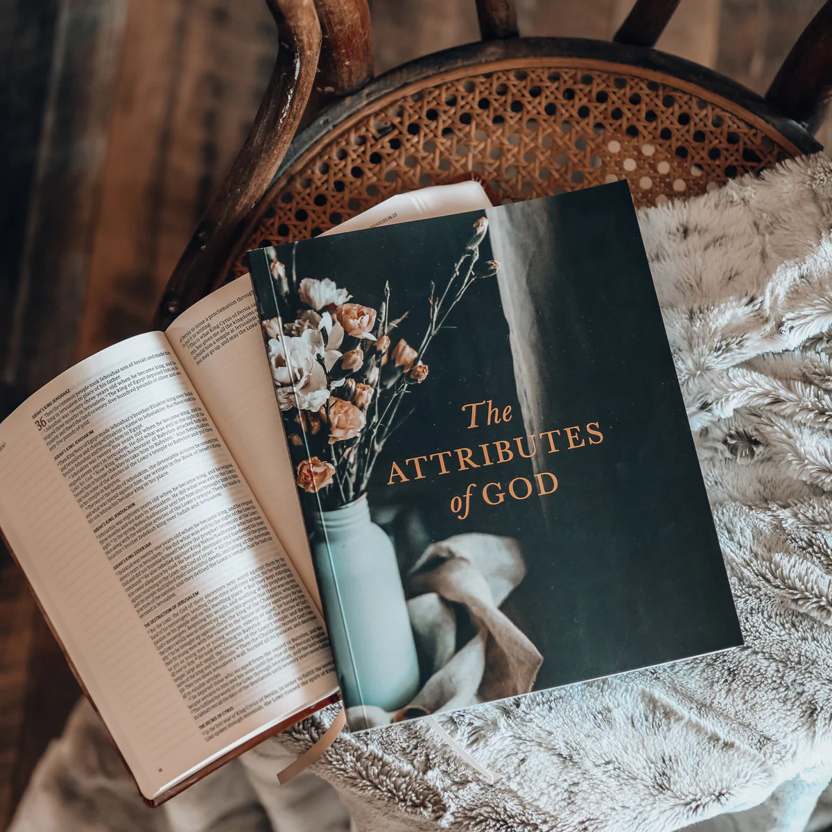 The Attributes of God | Study | The Daily Grace Co.