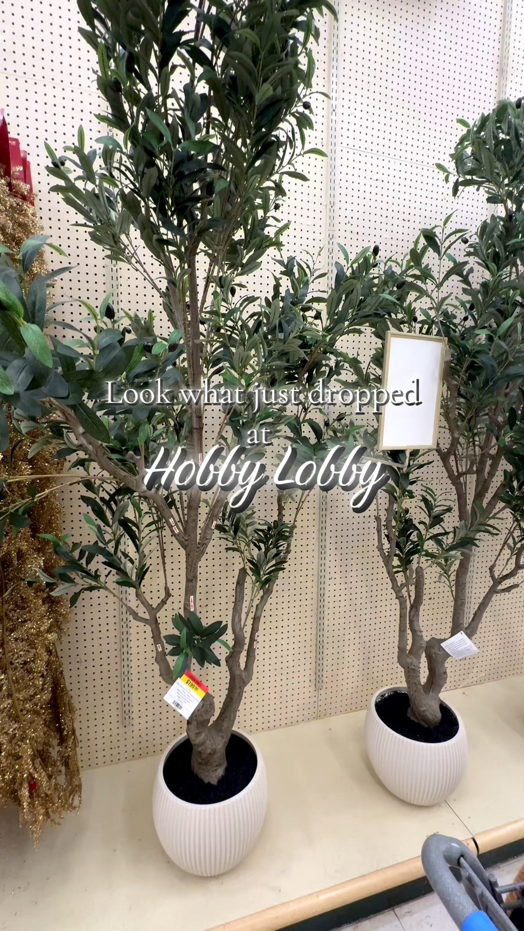 Hobby lobby people - look how good this is!! I love a good olive tree and this one is so good! I couldn’t find it on hobby lobby’s site yet so check back but I linked some similars for you♥️ 

#LTKHome