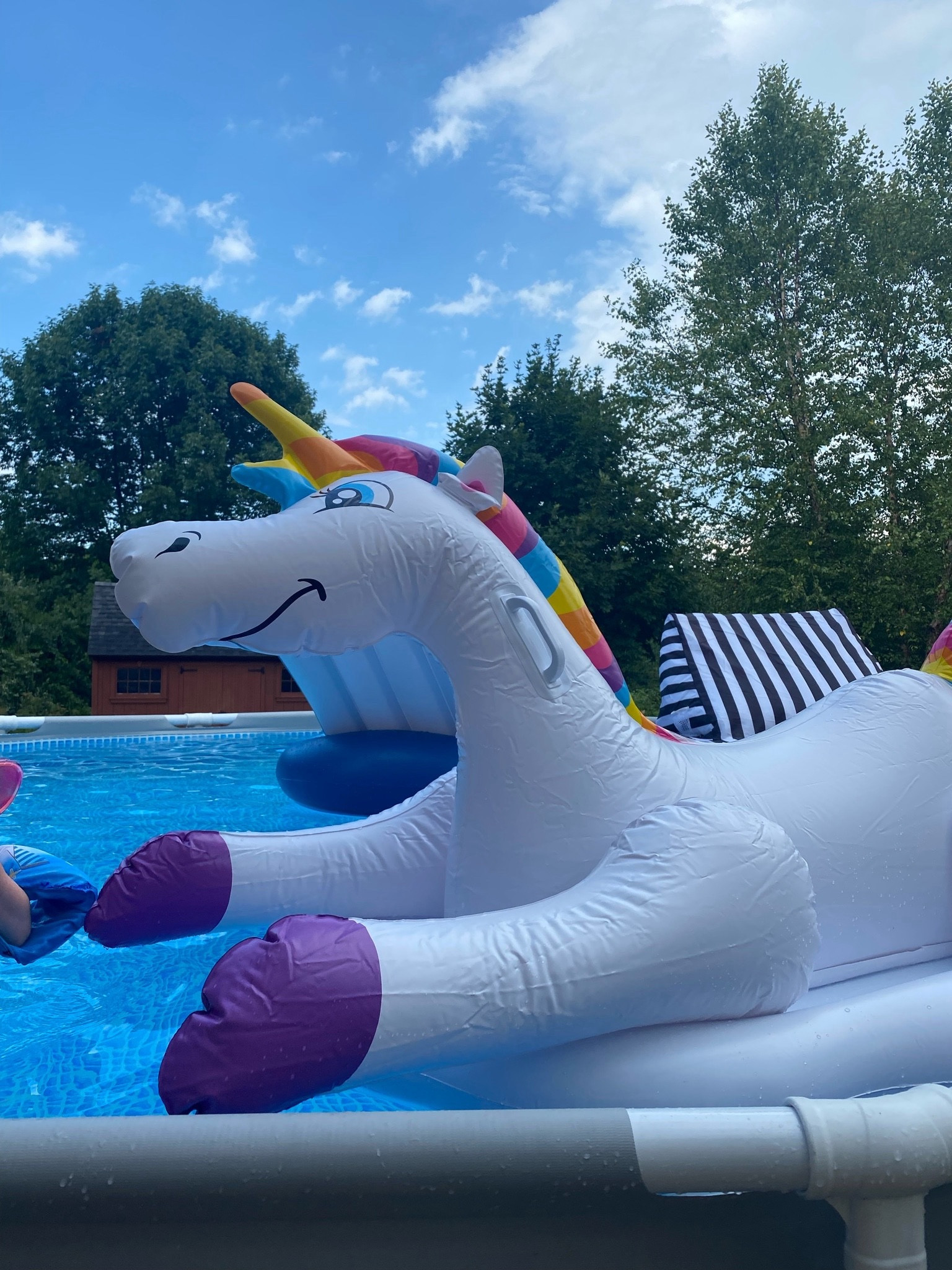 Every great pool needs pool floats and this unicorn has been a staple for years!

#LTKHome #LTKSwim #LTKSeasonal