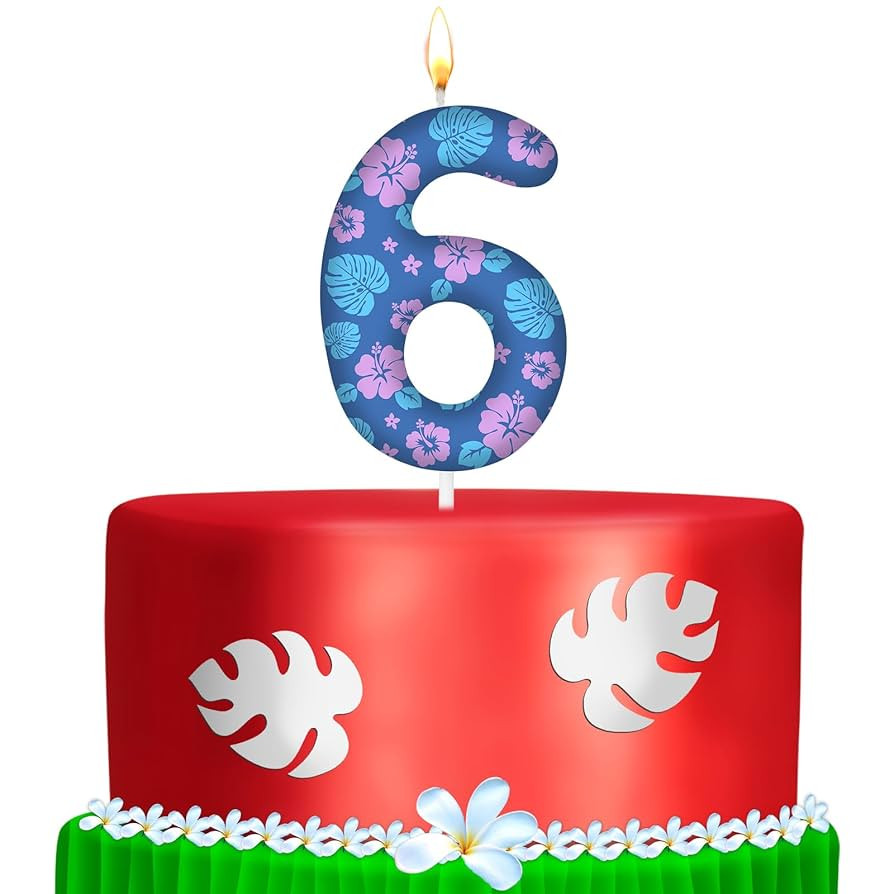 MTLEE 1 Pack Number 6 Cartoon Birthday Candle 6th Birthday Candle Numeral Leave and Flower Birthd... | Amazon (US)