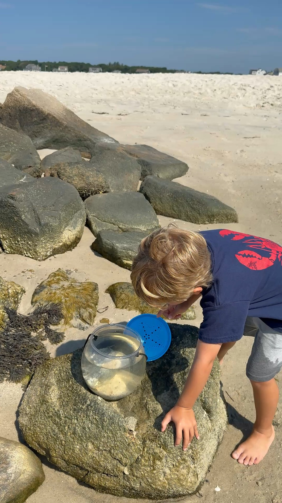Our favorite new beach toy!

#LTKmomlife #LTKSeasonal #LTKKids