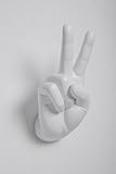 Interior Illusions Peace Sign Hand Wall Hook | Amazon (US)