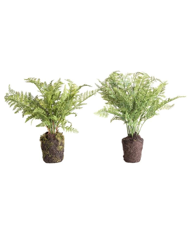 Faux Fern Drop-In | McGee & Co.