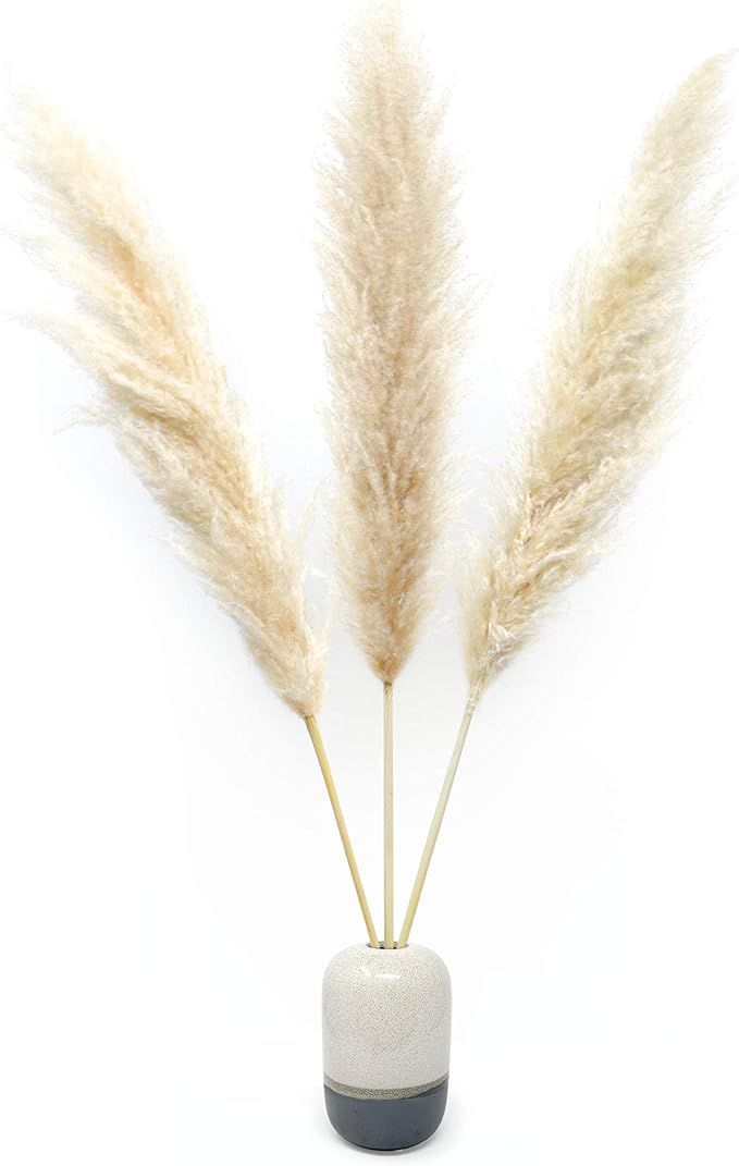 WTS Natural Dried Pampas Grass Decor - 3 Beige Stems (48'' Tall) - Tall Stemmed Real Pampas Grass... | Amazon (US)