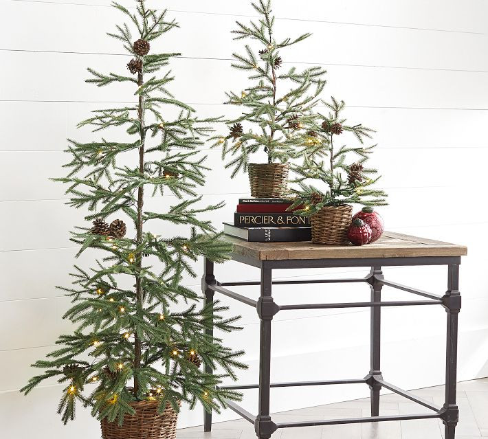 Lit Faux Pine Trees in Baskets, 24 | Pottery Barn (US)