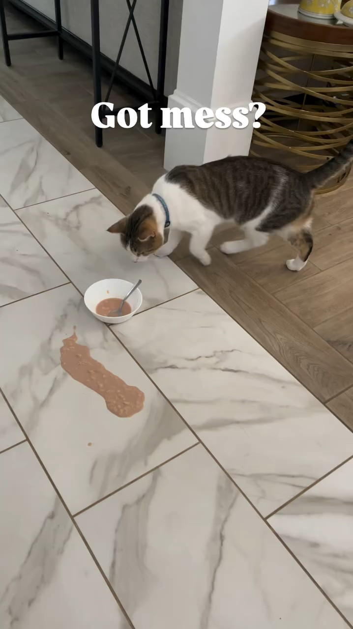 Dream tech vacuum cleaner wet/ dry 

#LTKHome #LTKOver40 #LTKFamily