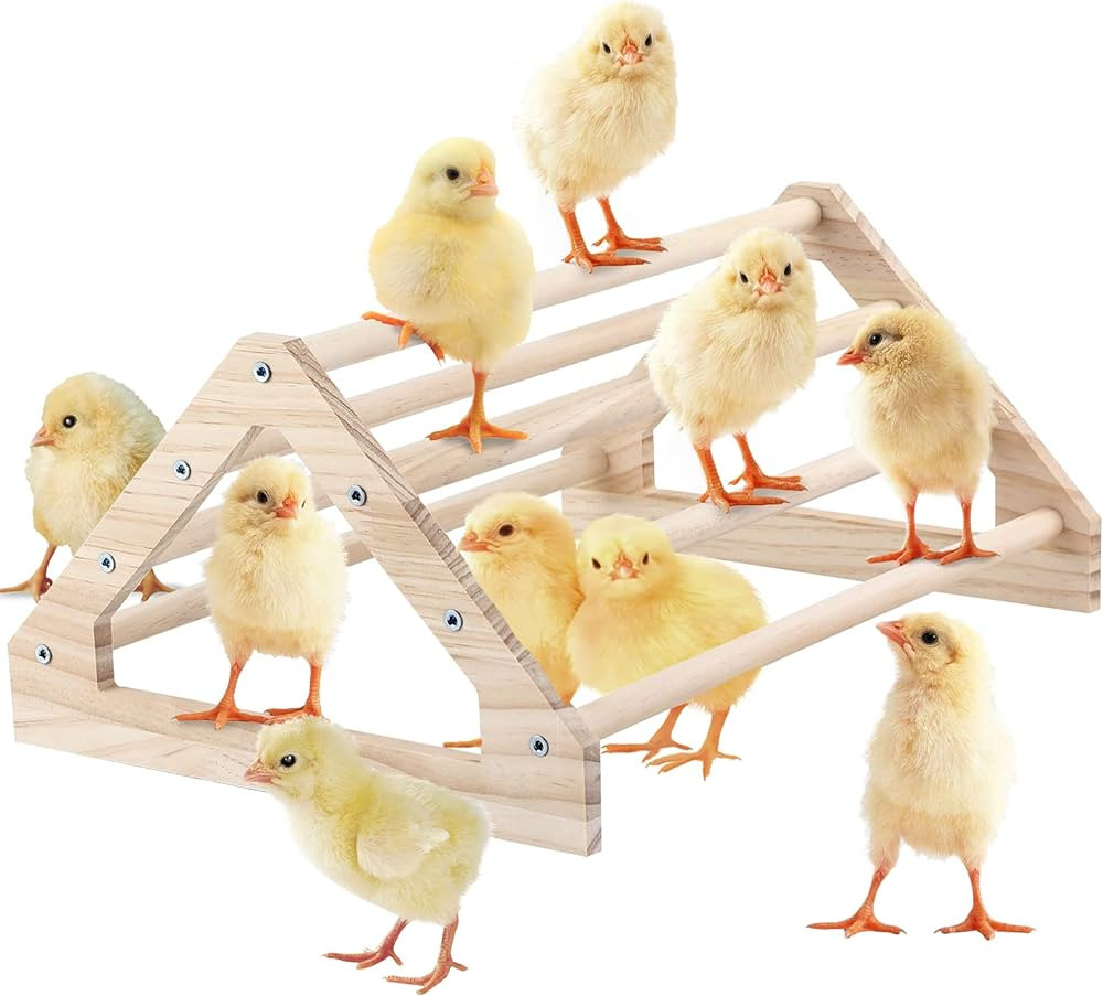 GINTUTO Chicken Perch Strong Pine Wooden Chick Jungle Gym Roosting Bar, Chick Perch Toys for Coop... | Amazon (US)