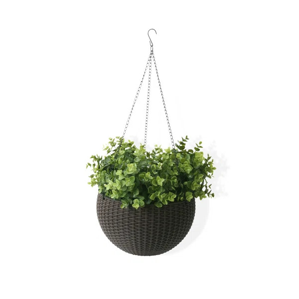 Self-Watering Resin Hanging Planter | Wayfair North America