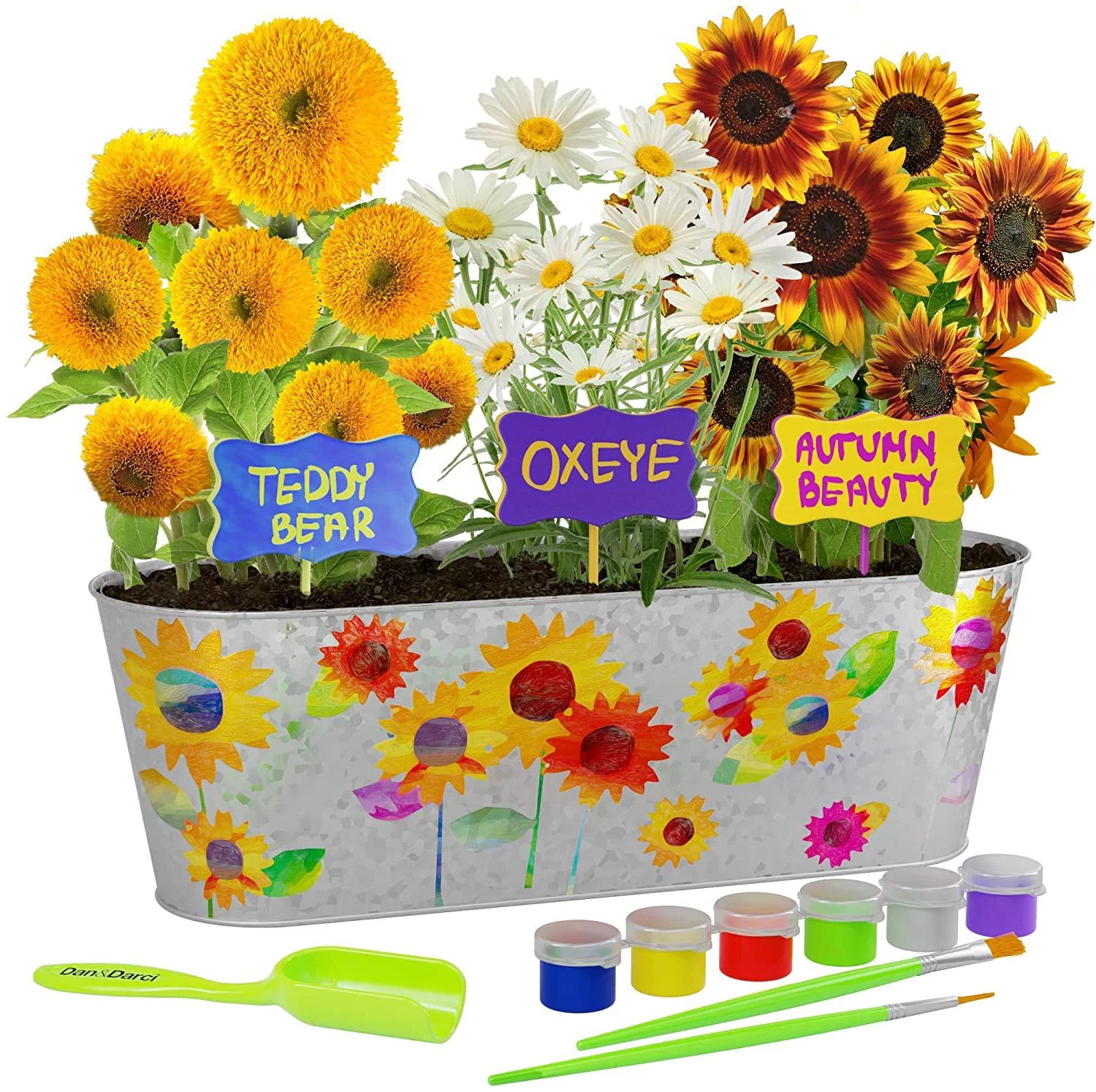 Paint & Plant Sunflower Growing Kit for Kids - Christmas Gift for Boys & Girls Ages 6-12 Year Old... | Walmart (US)