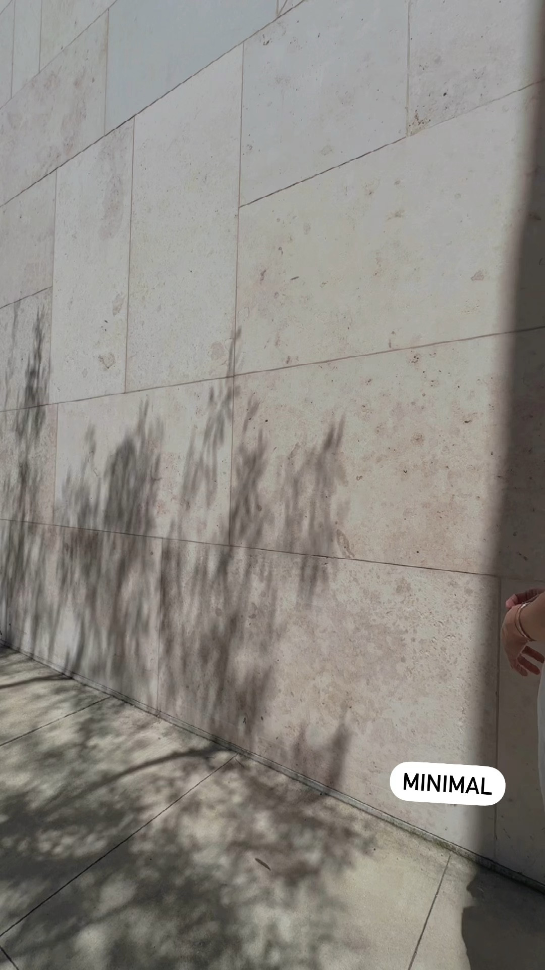 Minimal chic 🖤🤍 #khaite #alaia 

#LTKFindsUnder50