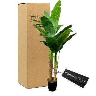 CYPRESS & ALABASTER 5 Sq. Ft. Realistic Artificial Banana Plant Deluxe In-Home Basics Starter Pot... | The Home Depot