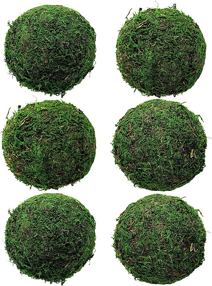Natural Green Moss Decorative Ball 3.5" Set of 6, Hanging Balls with Handmade, Hanging Balls Vase... | Amazon (CA)