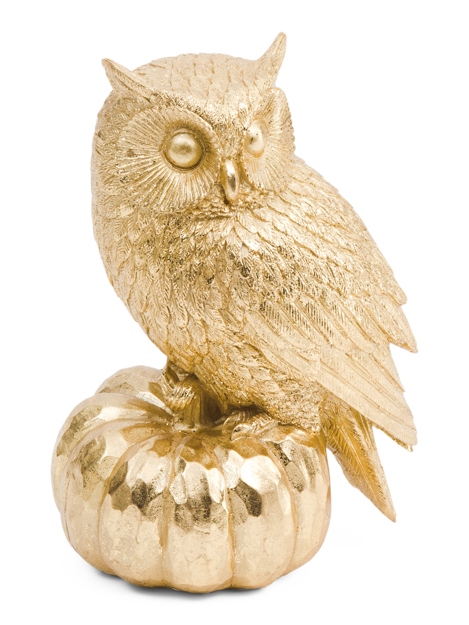 Owl Standing On Punpkin Decor | TJ Maxx