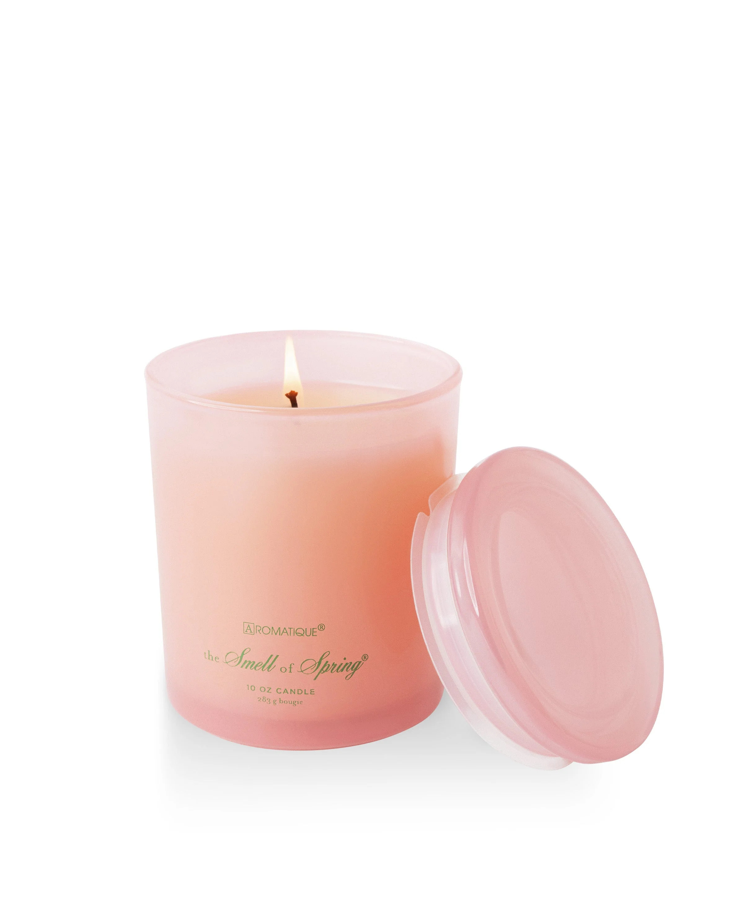 The Smell Of Spring Foundry Candle | Persnickety