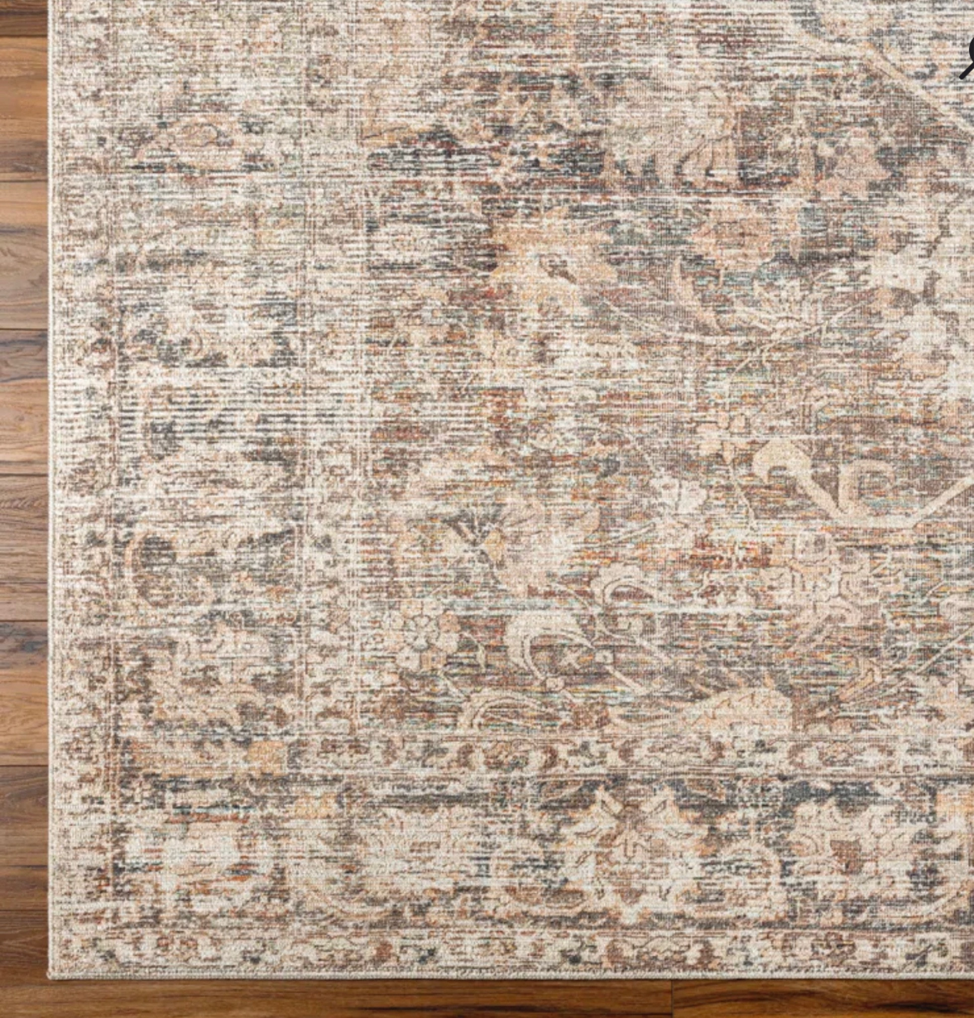 This is the new rug I ordered for my living room 🤞🏻 

#LTKhome