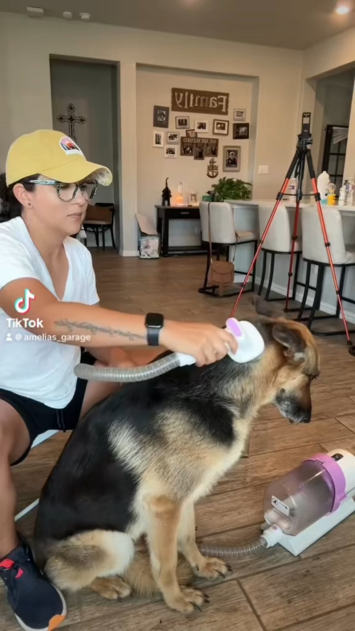 Dog grooming Kit #dog #grooming #cat