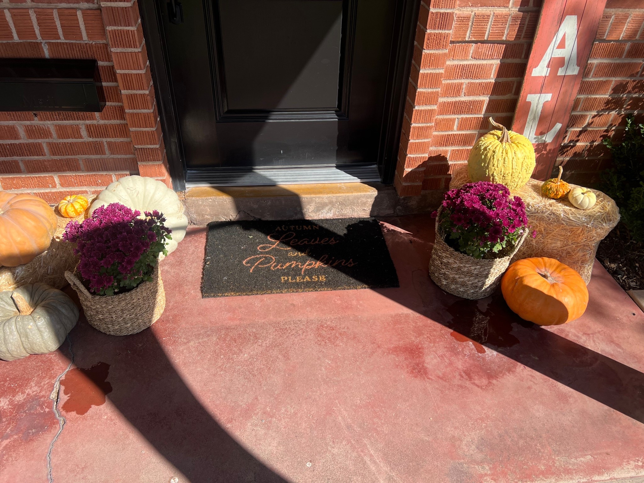 $10 baskets for mums 

#LTKHome #LTKSeasonal