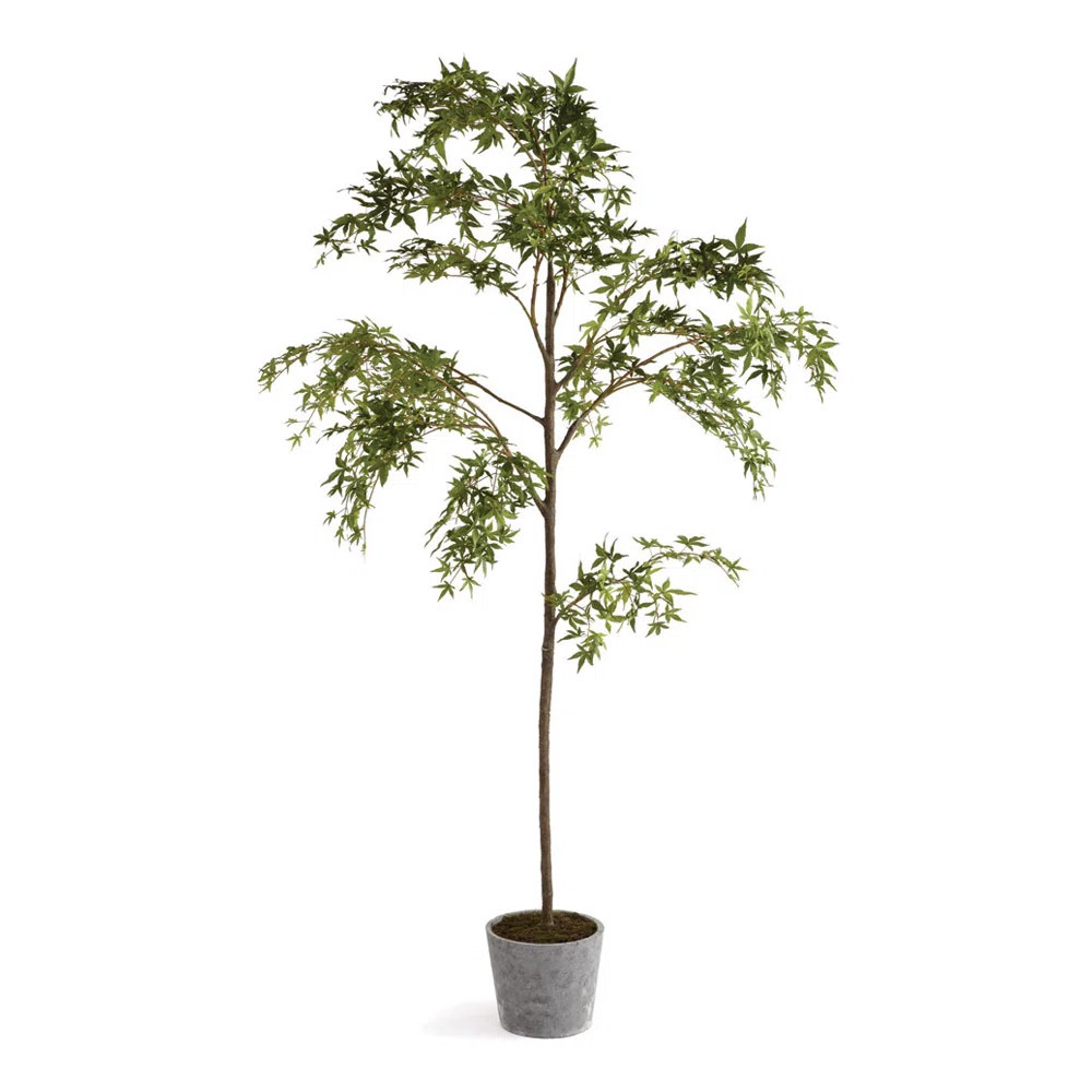 84'' Faux Maple Tree Tree in Ceramic Pot | Wayfair North America