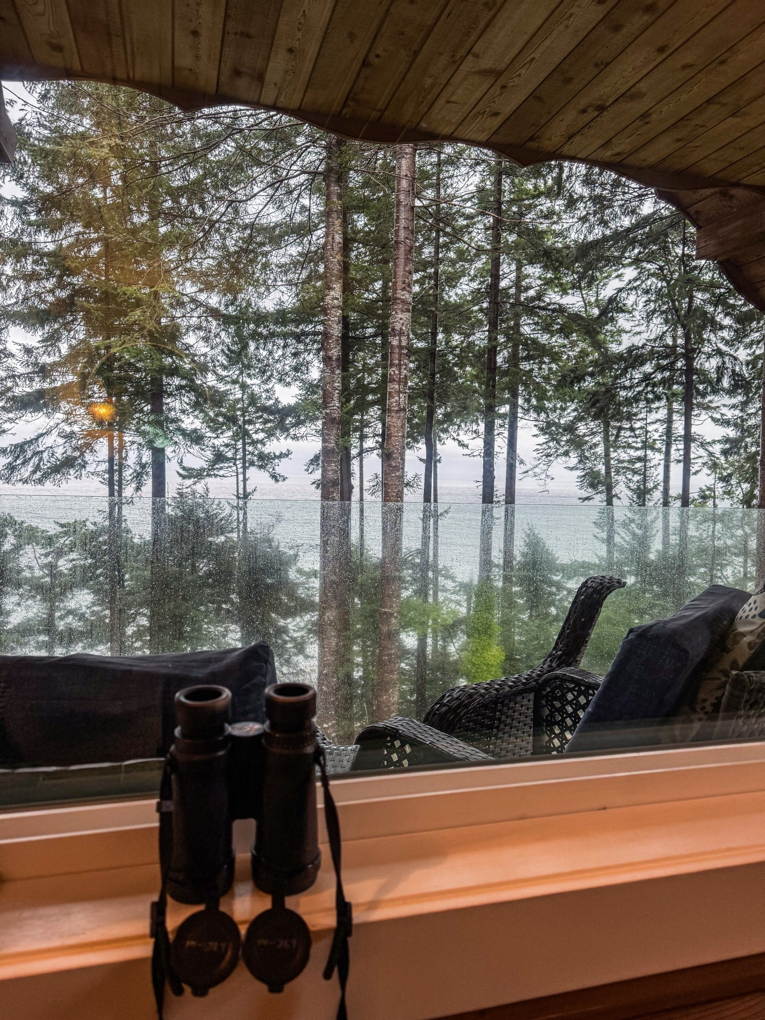 A major windstorm is predicted today combined with a king tide due to the full moon. I’m ready to watch the massive waves, assisted by my binoculars, from a cosy spot inside  Always love exploring the beach afterwards to see what treasure has washed up. 

#LTKhome