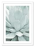 Casa Fine Arts Agave I Pastel Modern Succulent Archival Art Print 24.5" x 34.5" Matte White Frame | Amazon (US)