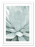 Casa Fine Arts Agave I Pastel Modern Succulent Archival Art Print 24.5" x 34.5" Matte White Frame | Amazon (US)