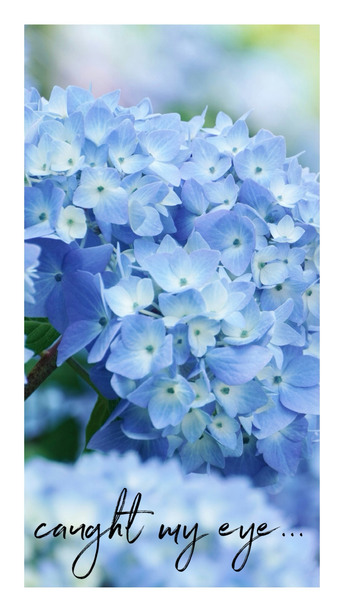 6.27 caught my eye 

#LTKSeasonal #LTKStyleTip #LTKSummerSales