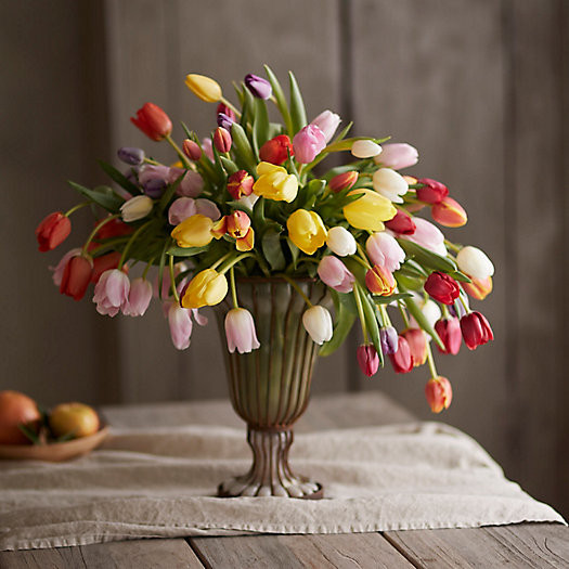 Fresh Mixed Tulip Bunch | Terrain