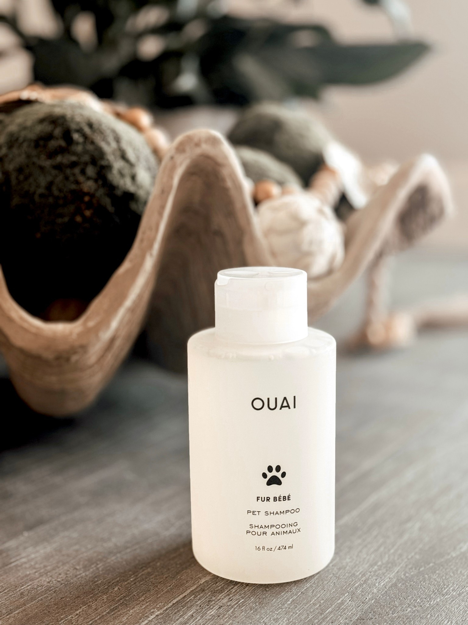 Ouai Pet Shampoo. 

Scroll to shop. I’m so glad you’re here. 

#LTKPet

#LTKHome