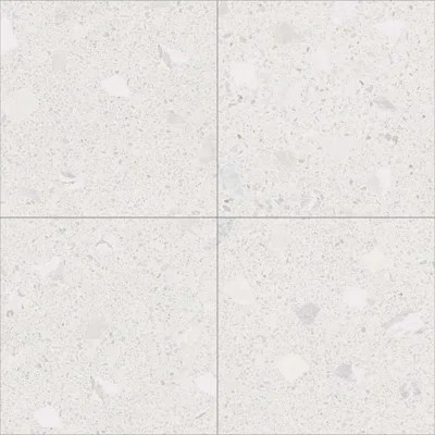 The Tile Life Terrazzo 8" x 8" Porcelain Wall & Floor Tile | Wayfair North America